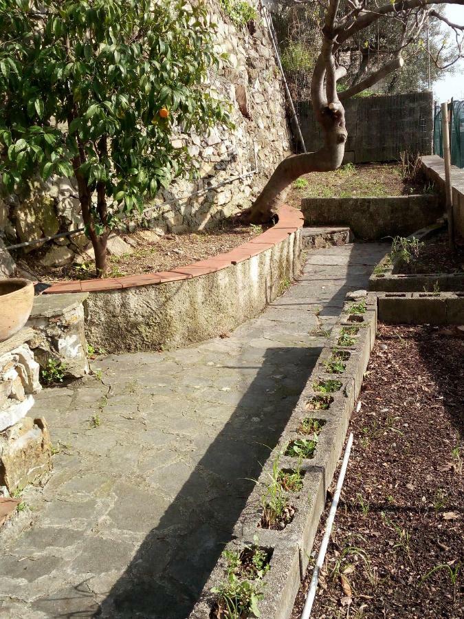 شقة Casa Picasso جنوة المظهر الخارجي الصورة