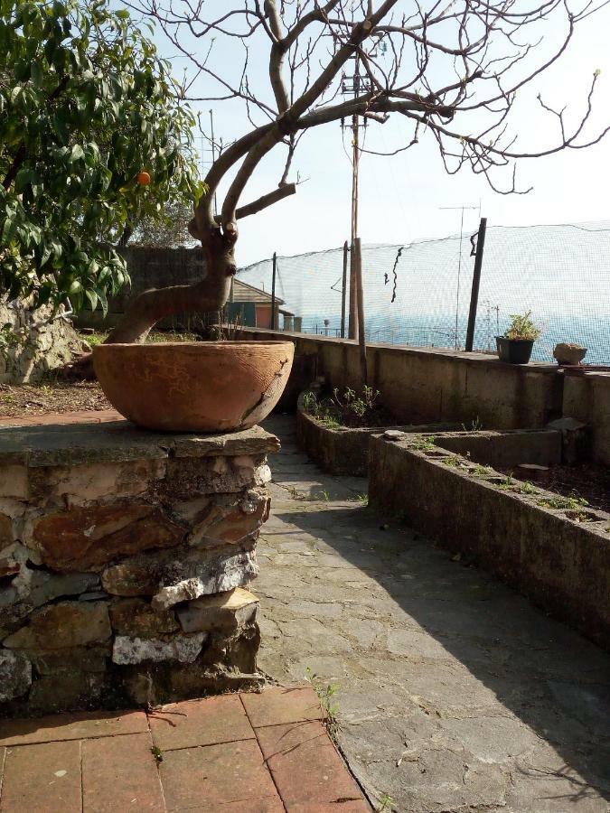 شقة Casa Picasso جنوة المظهر الخارجي الصورة