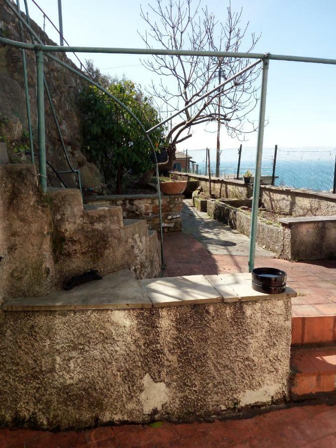 شقة Casa Picasso جنوة المظهر الخارجي الصورة