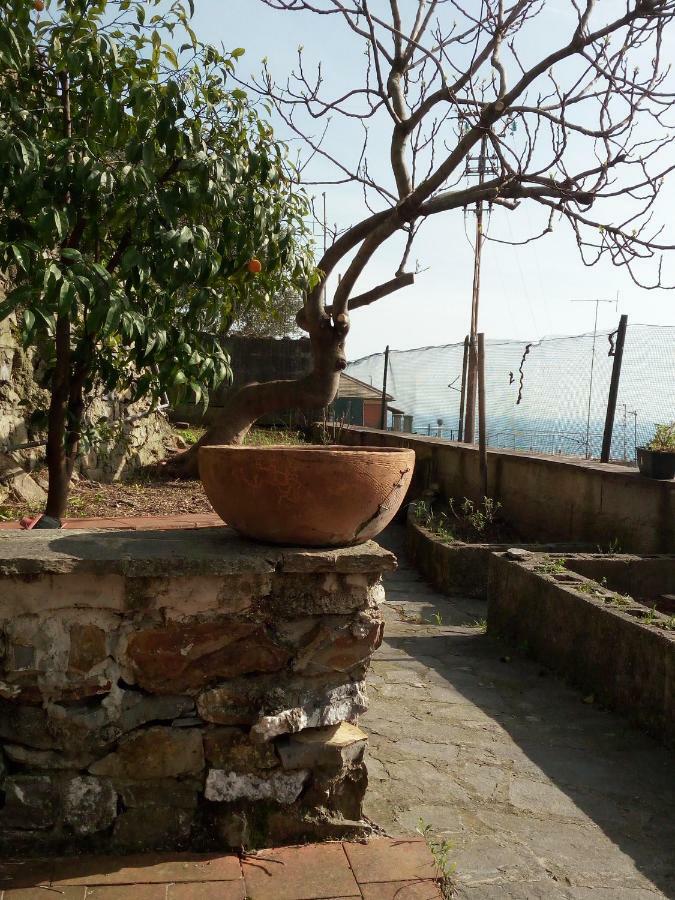 شقة Casa Picasso جنوة المظهر الخارجي الصورة